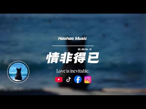 Nonstop 2024 Huang Hun x Guo Lu De Wan Feng x Tung Hua (Electro Manyao) #dj抖音版2024