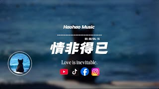情非得已/ Haohao Music|原唱：庾澄慶｜『愛上你是我情非得已什麼原因 我竟然又會遇見你』