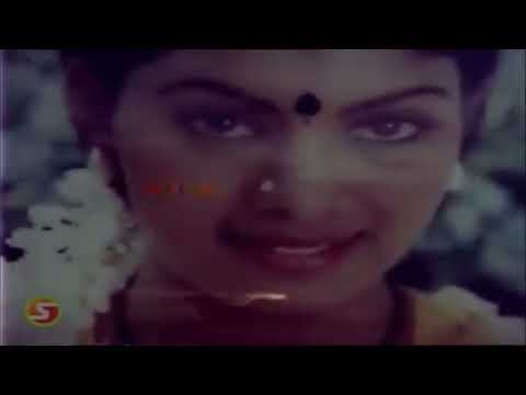 Ponnaga Poranthaa Song Lyrics on YouTube