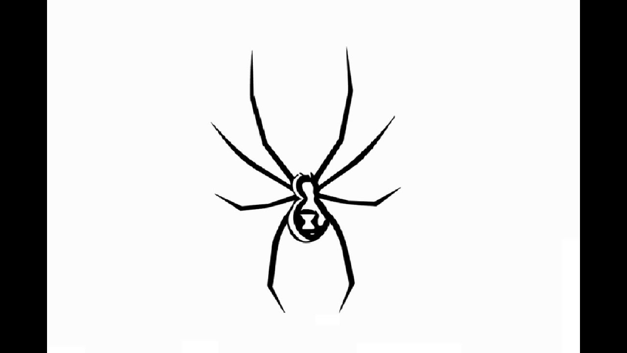 black widow spider pencil drawing, How to draw black widow spider...