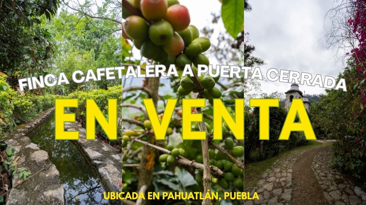 Remate de Finca de 6 HA en Pahuatlán, Puebla