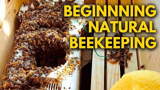 I Set Up a Beehive with NO Foundation – Big Mistake