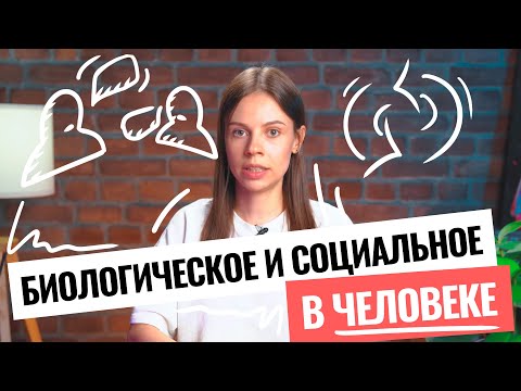 Обществознание ЕГЭ | «Биологическое и социальное в человеке» | Кратко