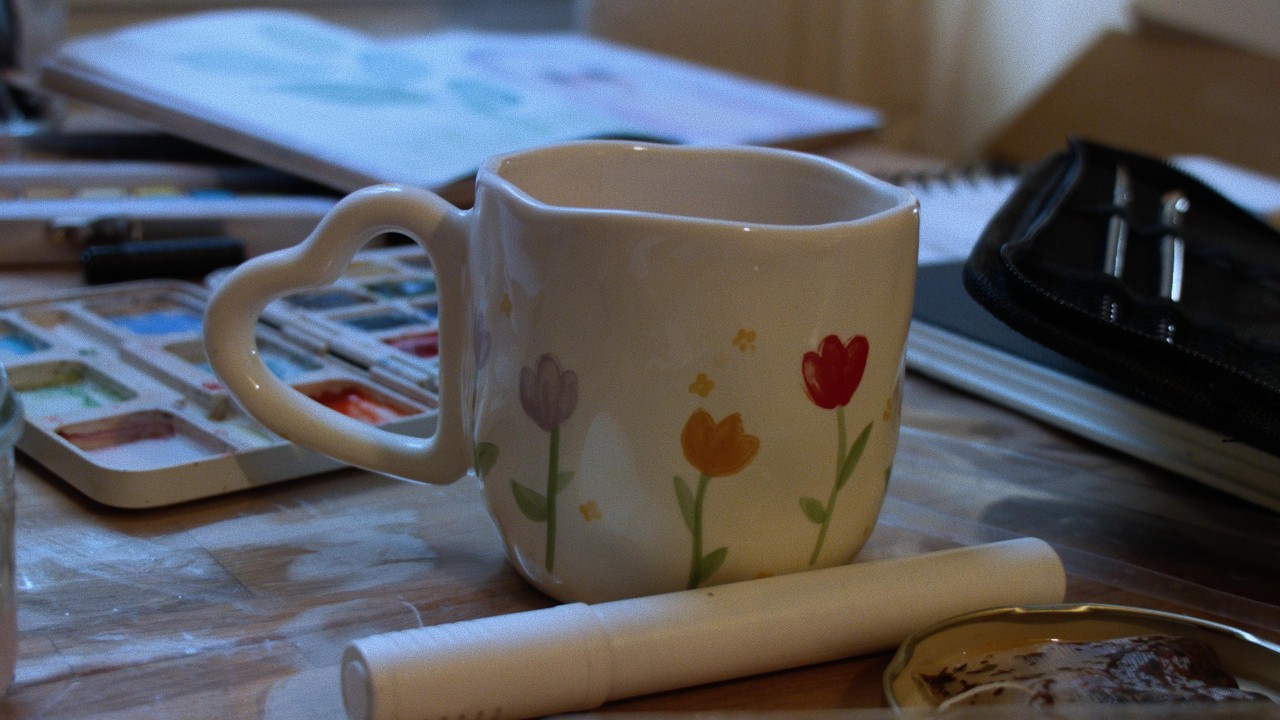 Hedgehogs in the rain // Short film shot on BMPCC OG in Paris