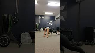 DB Plank Pull Through