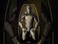 The journey of 10,000 bullet jumps starts with a single slide. #warframe #warframecommunity #gaming