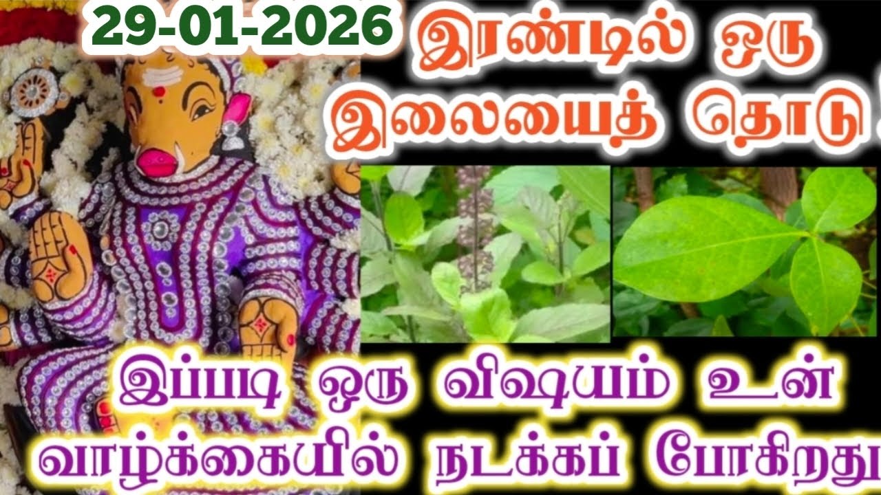 இரண்டில் ஒன்றைத் தொடு வெற்றி  நிச்சயம்/Amman/varaahi Amman/positive vibes/