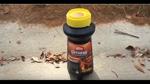 Ortho Orthene Fire Ant Killer Review