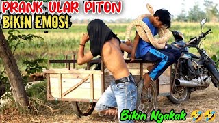 Prank Ular Piton Bikin Emosi || Paling Laknat Super Lucu || Funny Snake Prank