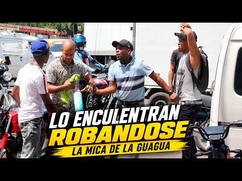 BROMA NUEVA EL ROBA MICA