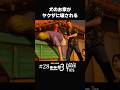 犬小屋を必死に守る女の子と熊【#28 龍が如く極3 】#shorts