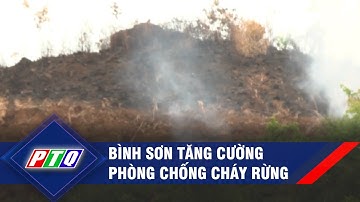 Bình Sơn (Quảng Ngãi) tăng cường phòng chống cháy rừng | PTQ