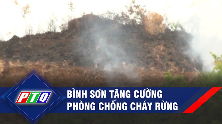 108 tế hanh bình trung bình sơn quảng ngãi năm 2024