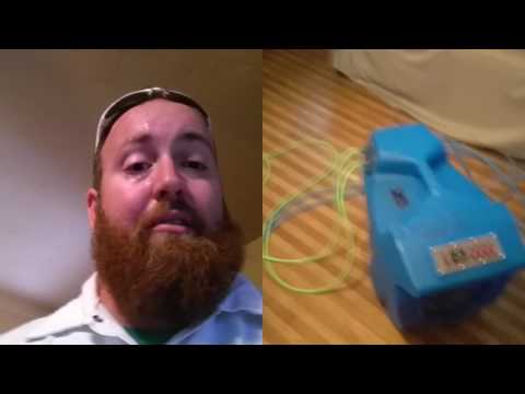 Get Rid of Bed Bugs in One Day