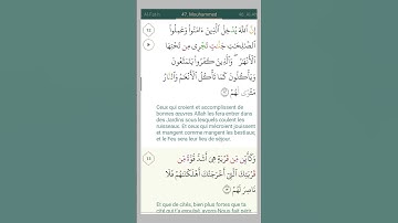 سورة محمد ،آية 12 مع ترجمة باللغة الفرنسية. الشيخ هاني الرفاعي.