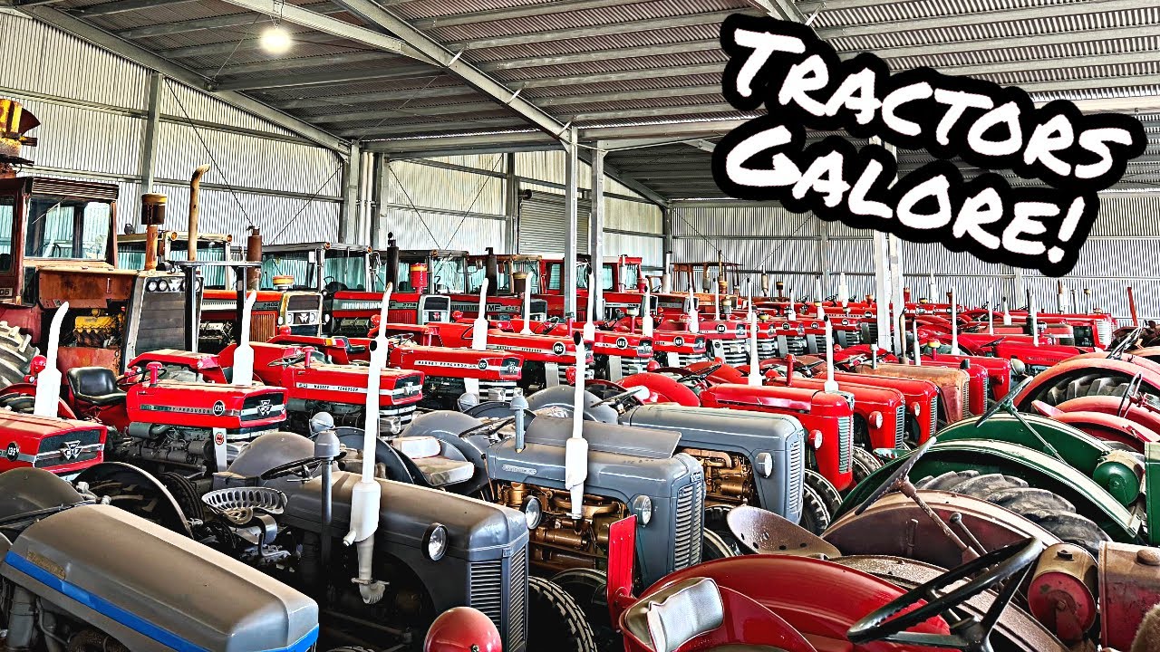 I Find a HUGE Shed FULL of OLD Massey Ferguson Tractors from the 1950’s, 60’s, 70’s & 80’s!