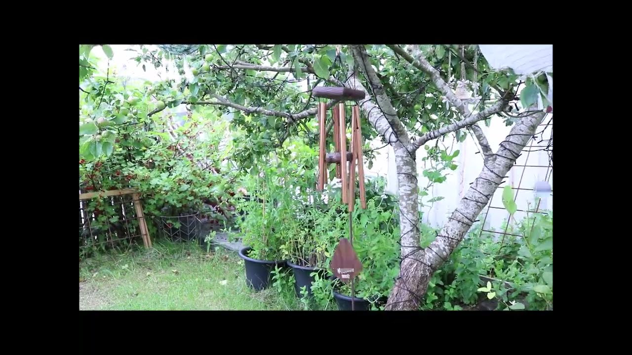 Vindspel Nature`s Melody 24" Guld