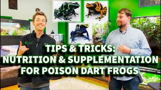 Tips Tricks Nutrition Supplementation for Poison Dart Frogs