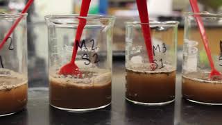 Pine Needle Acidity and it's Effect on Plant Growth
