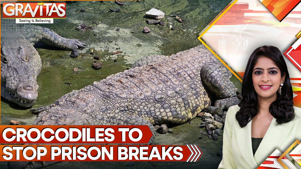 Israel Clears Way for Crocodiles in Prison Security | GRAVITAS Israel Clears Way for Crocodiles in Prison Security | GRAVITAS