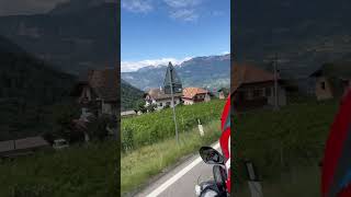 Trentino Caldaro Sulla Strada Del Vino