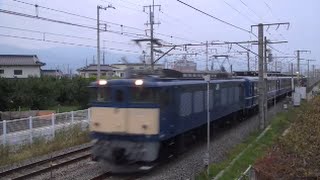 甲府発 「ELみなかみ」 EF64 39+12系高崎車5B
