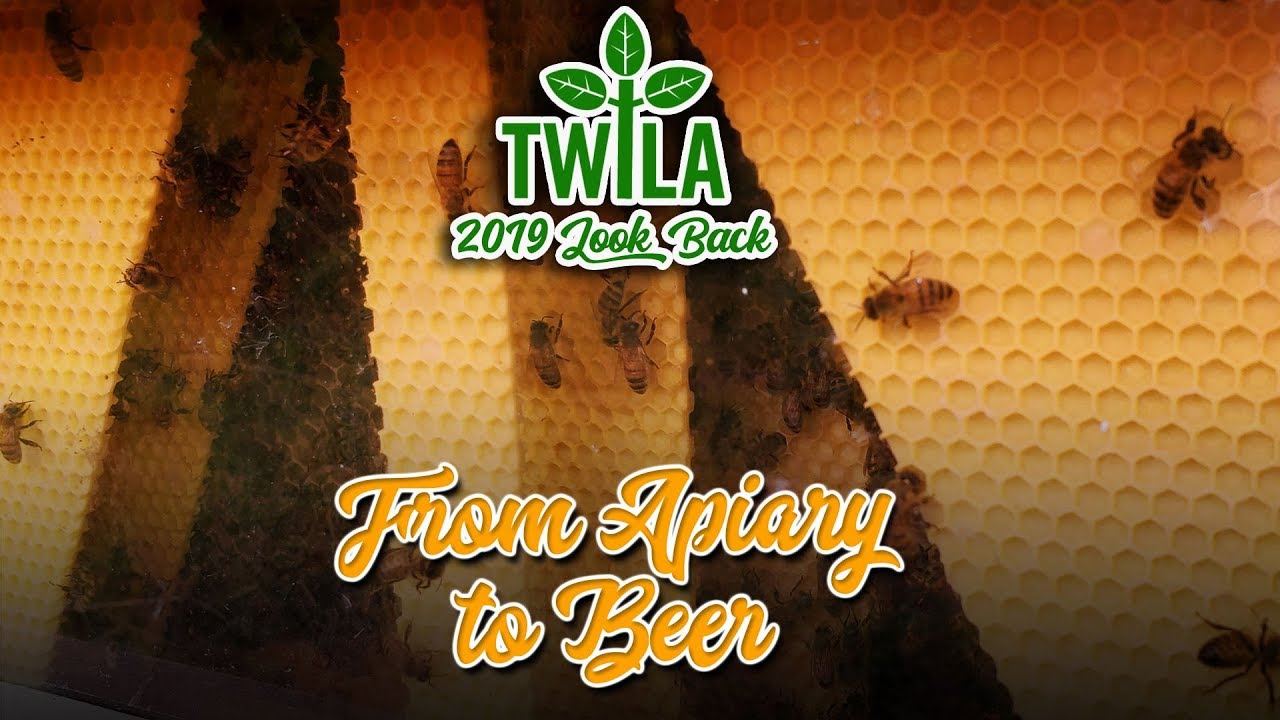 2019 TWILA Look Back -- Miel Brewery