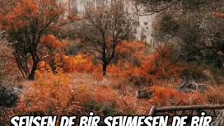 Sevsen De Bi̇r Sevmesen De Nurullah Genç