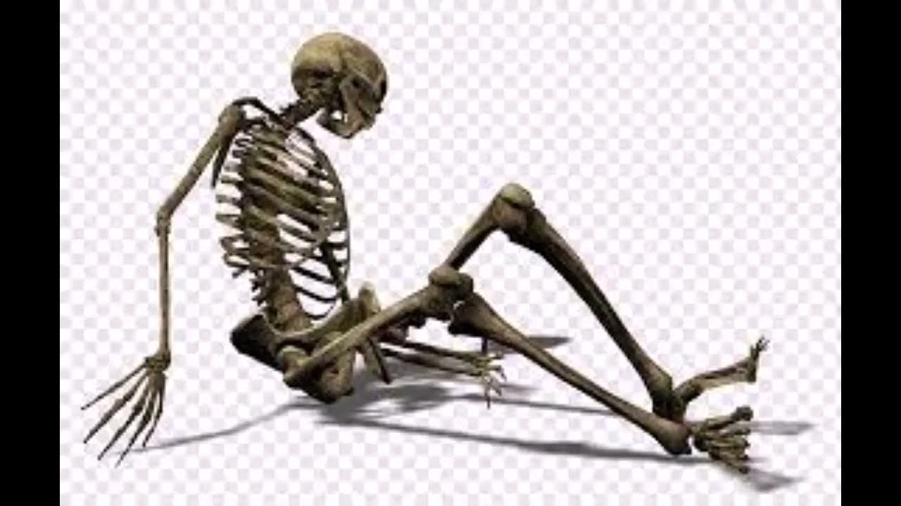 Голодные кости. Скелет. Скелет лежит. Скелет сидит. Скелет на прозрачном фоне.