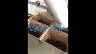 thermo forming vacuum packaging machine for dates with automatic  filling  008618932209347