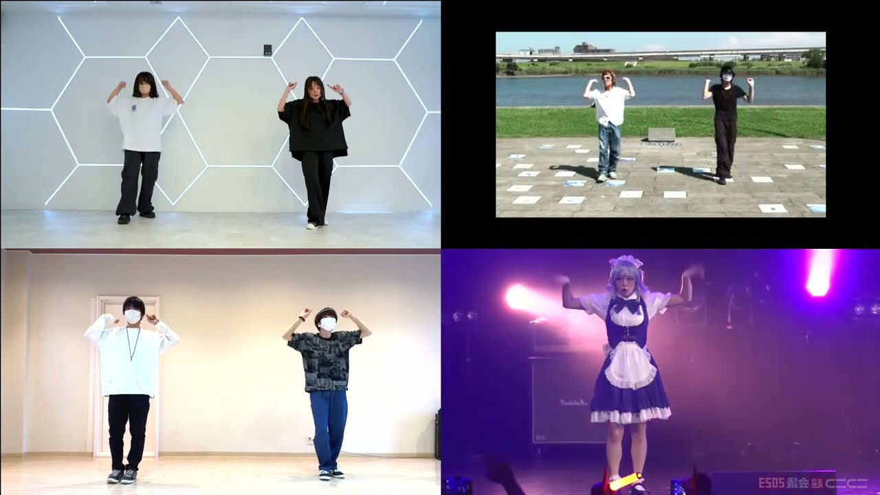 bad apple feat.nomico dance mirror 踊ってみた 練習用鏡面反転