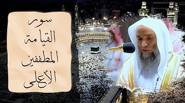 تلاوات هادئة و مريحة للشيخ فيصل غزاوي