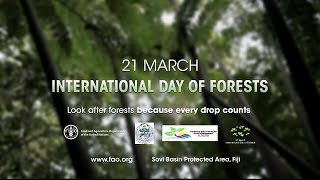 Why Forests Matter, International Day of Forests 2016 Fiji