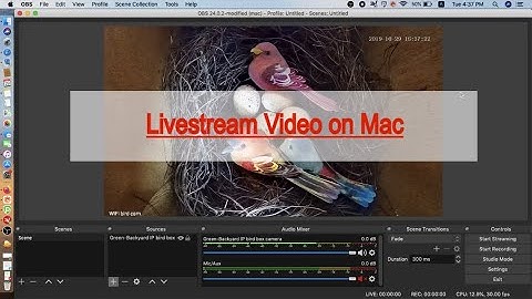 Live Stream IP Bird Box Camera on Mac Youtube | Step by step