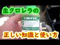 【めだか】生クロレラでミジンコ爆殖させてメダカに栄養満点のミジンコを食わせましょう！