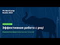 Эффективная работа с psql (Владимир Виноградов) – PG BootCamp Russia 2023
