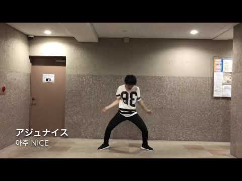 セブチが好き過ぎて変な事してる人(踊れる曲だけ)