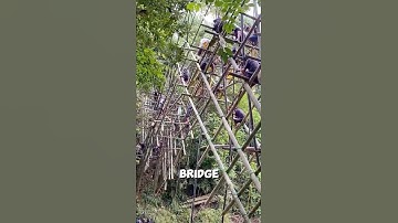 How the Baduy Tribe Builds a Bamboo Bridge by Hand #bamboobridge #short