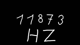 11873 Hz