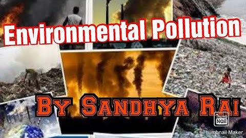 Social Studies Class 5 Chapter 7 Environmental Pollution Part 1 Air pollution