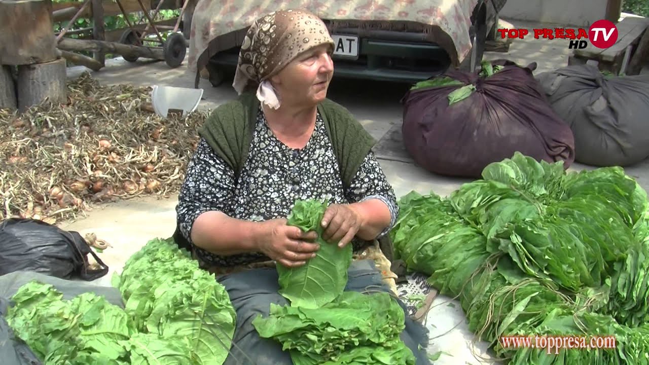 Видео: Несправедливо ниски цени на тютюна очакват производителите от село Слащен