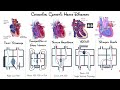 Congenital Heart Diseases Cyanotic Diseases TGA And Others 6 