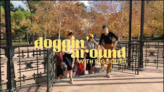 Doggin Around - Aiala Aida Julie Paola Rossana