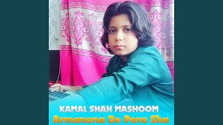 Ma Shpelke Darta Kawai