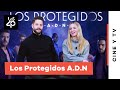 Ana y luis fernndez confiesan a quin no convencieron para volver a los protegidos adn  los40