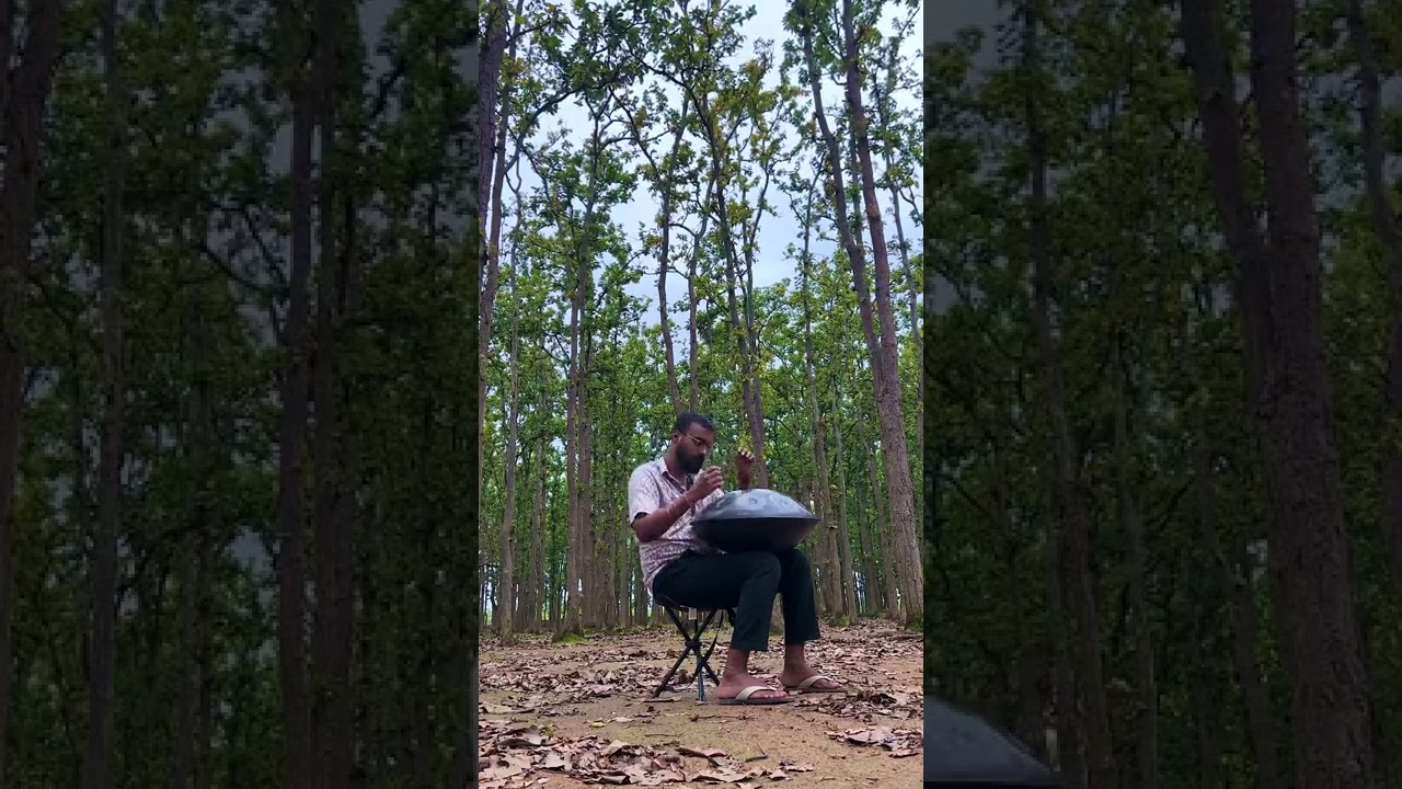 Arrival of the Birds | Handpan cover