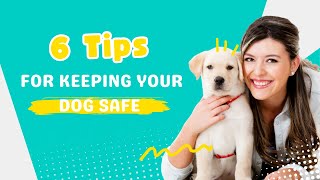 6 TIPS FOR KEEPING YOUR DOG SAFE