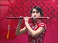 Amazing chinese musical instruments Solo