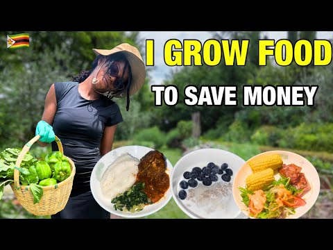 How I Survive Living Alone In Zimbabwe 🇿🇼 | What I Eat In A Day