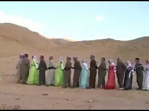 Kurdish traditional dance and song / Şexanî